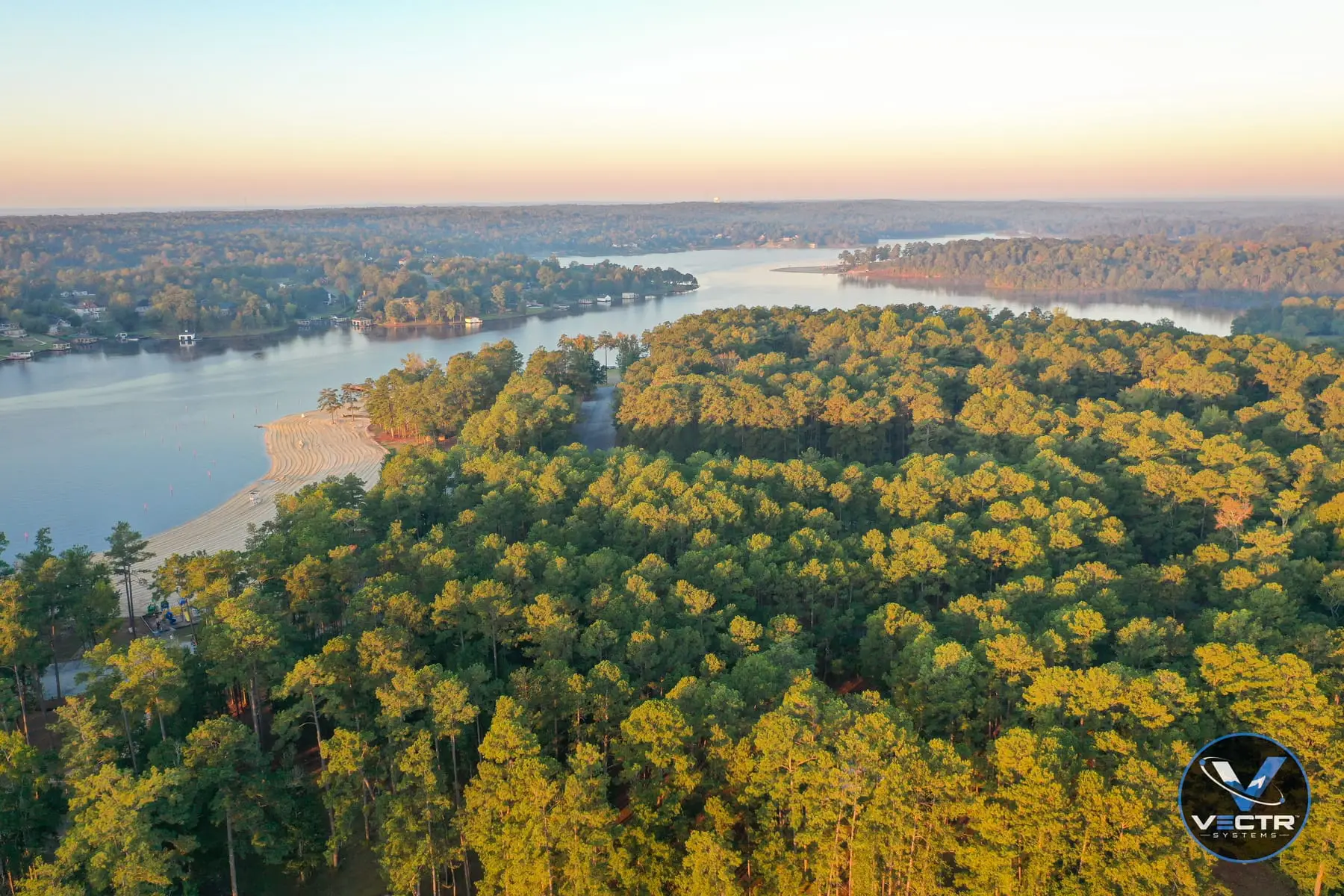 Aerial view of a pine forest meeting a lake shoreline and beach